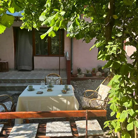 Rustik Apartment Soko Banja