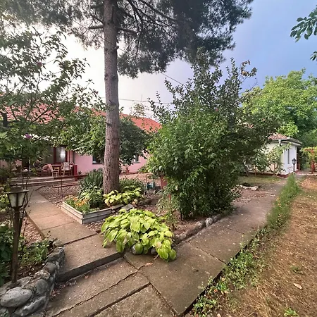 Rustik * Soko Banja
