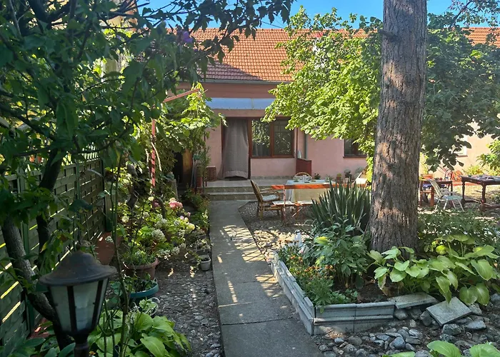 Rustik 소코 반자